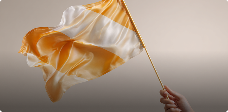 Decorative / Handheld Flags